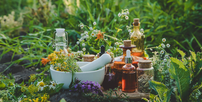 Ancient Wisdom in a Modern World Discovering the Diverse Modalities of Herbal Traditions