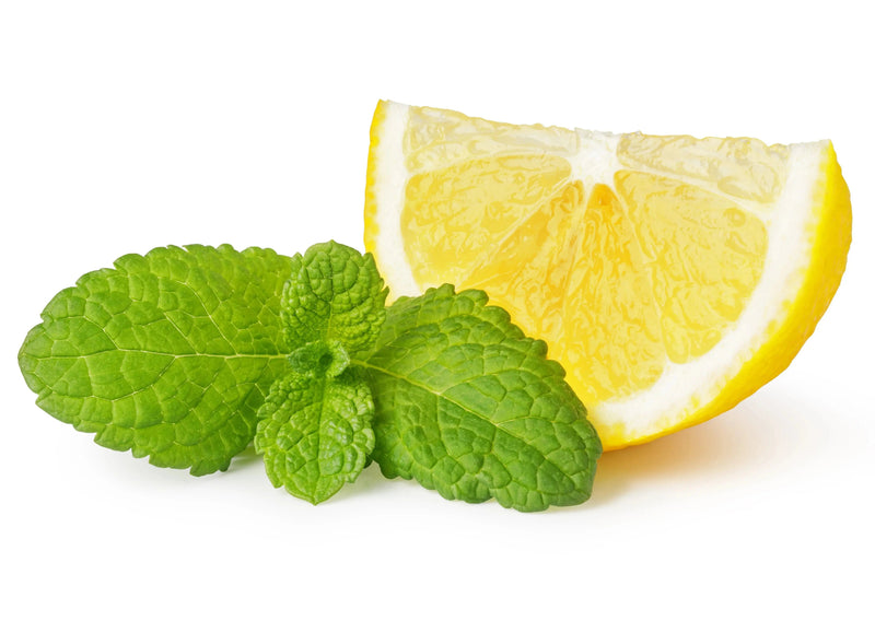 Citrus & Mint Green Tea - My SensibiliTeas