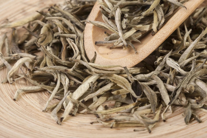 Classic White Tea - My SensibiliTeas