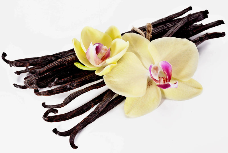 Creamy Oolong - My SensibiliTeas