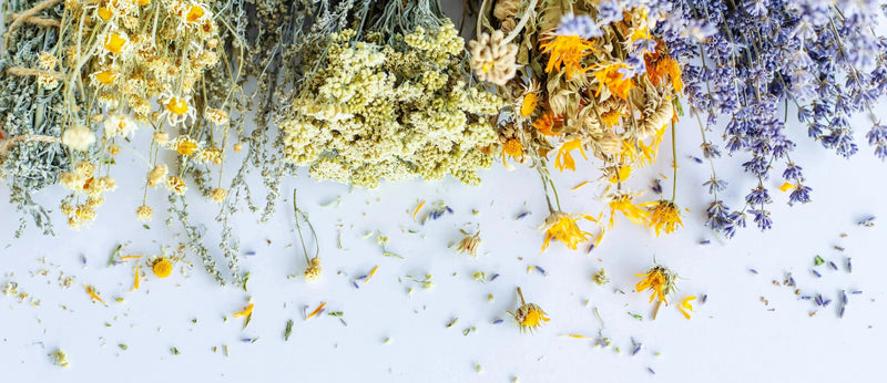 Floral Oolong - My SensibiliTeas