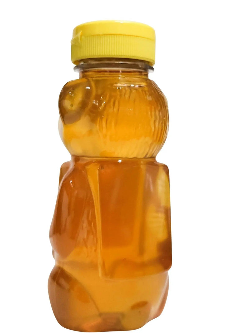 12 oz Raw Wildflower Honey in Plastic Bear - My SensibiliTeas - raw honey from Pleasant Valley Apiary