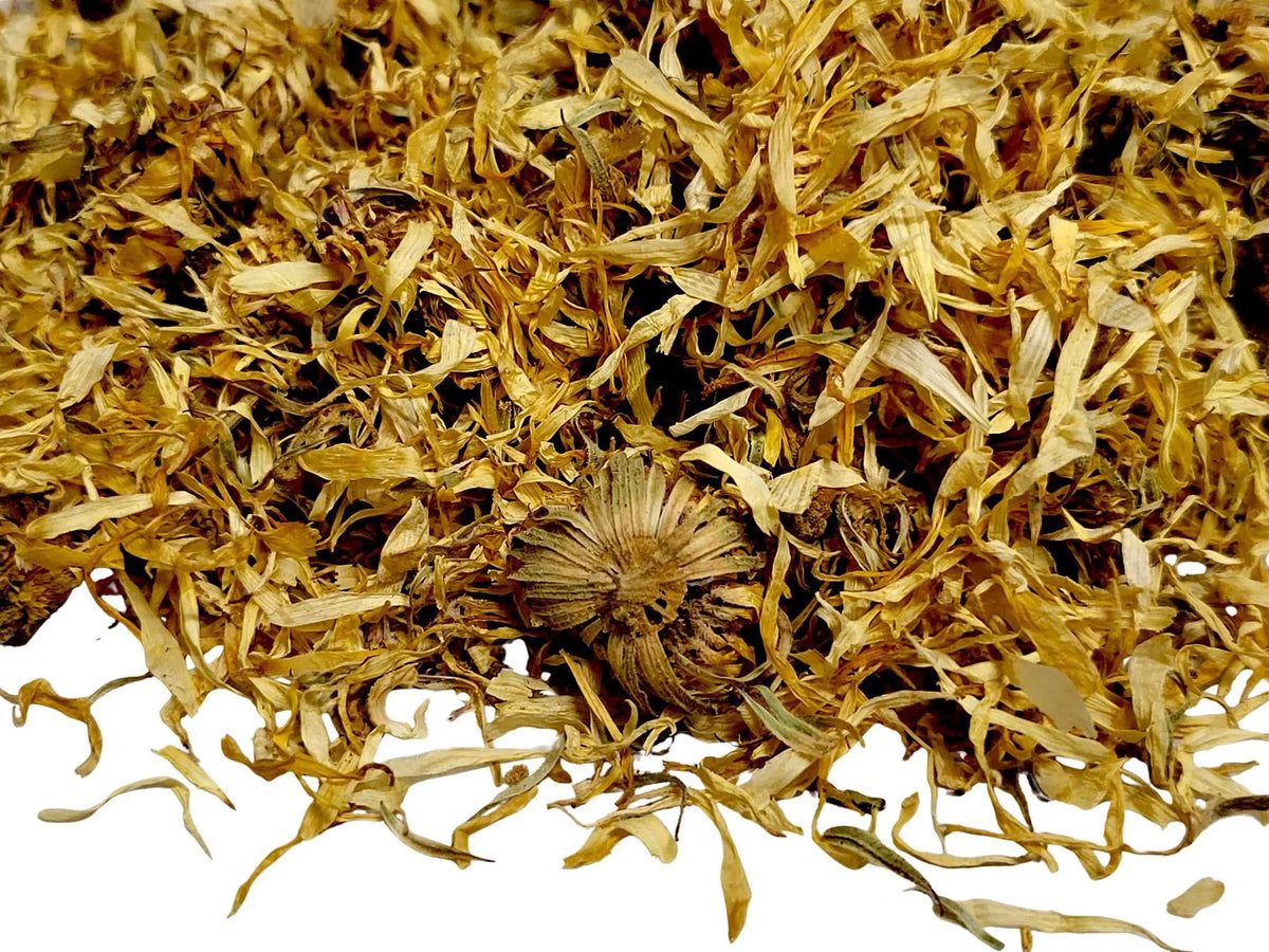 Calendula