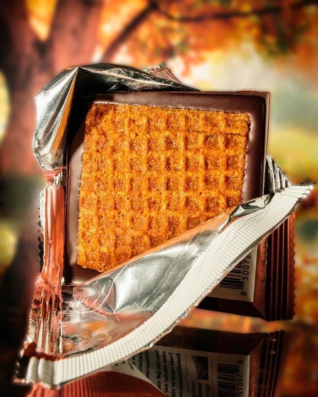 Raaka Pumpkin Spice Chocolate Dipped Waffle Cone