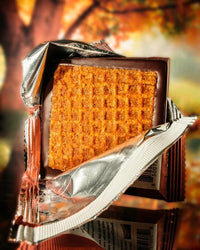 Raaka Pumpkin Spice Chocolate Dipped Waffle Cone