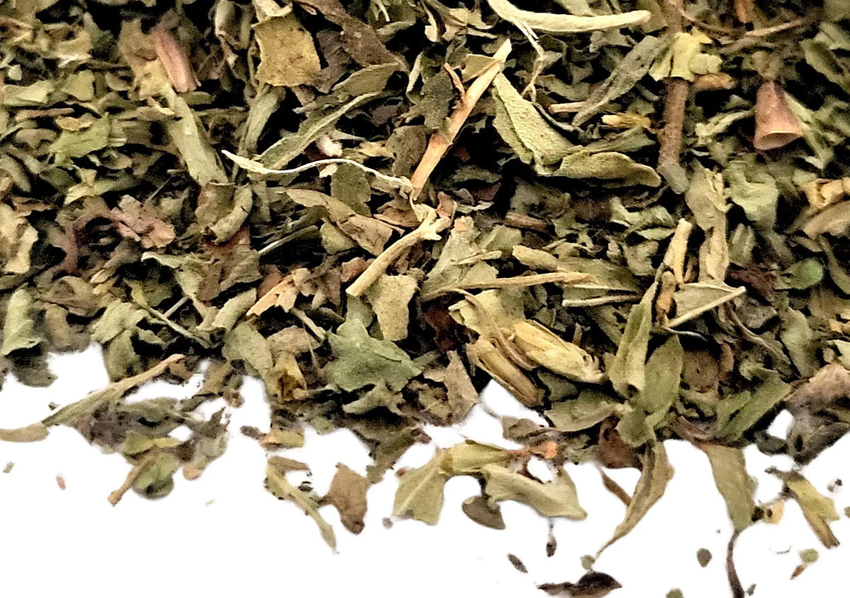 Stevia Leaf