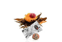 Tea Blooms