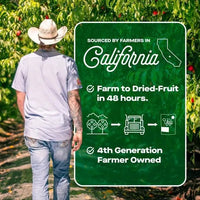 3oz Dried & Sliced Apricots - My SensibiliTeas - dried fruit from Hello! I'm Ugly