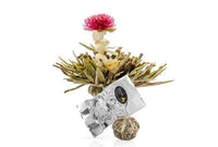 Tea Blooms