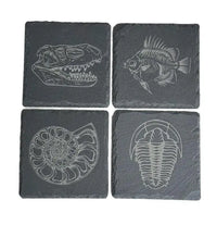 Set Of 4 Slate Coasters With Wood Stand Fossils Gift
