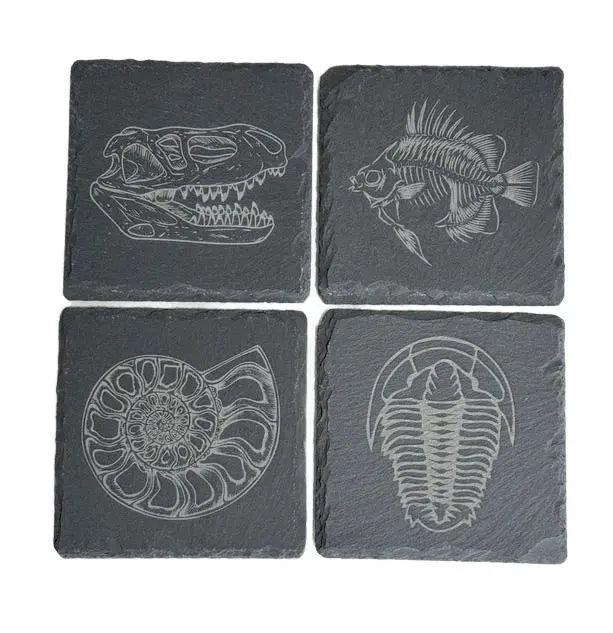 Set Of 4 Slate Coasters With Wood Stand Fossils Gift