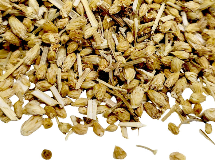 Yarrow