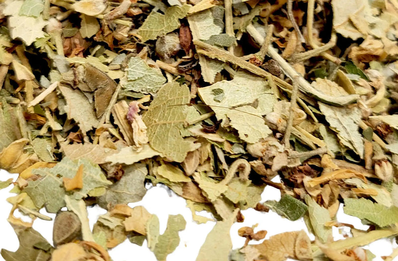 Linden Leaf & Flower