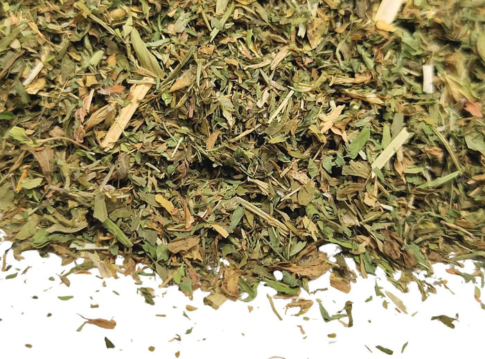 Alfalfa Leaf