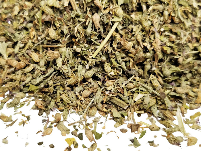 Catnip