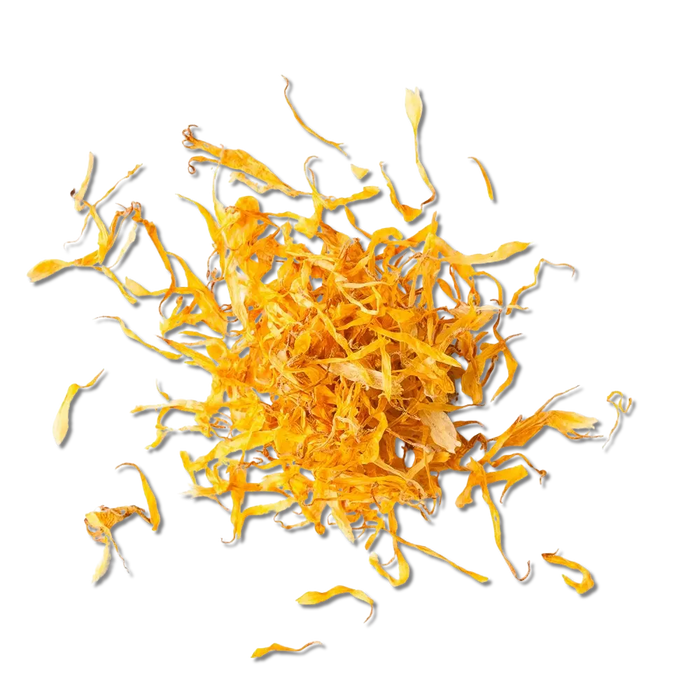Calendula