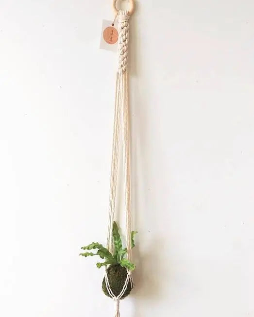 Barrel Braid Macramé Plant Hanger