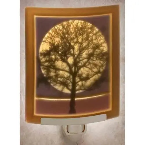 Midnight Moon Nightlight
