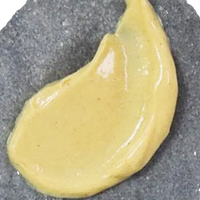 Chaga 4 oz Body Cream