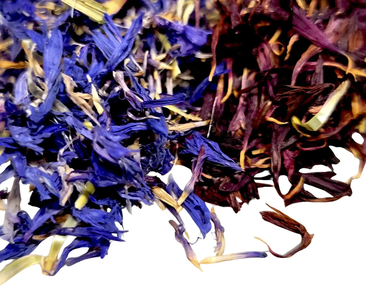 Cornflower Petals