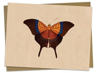 Vintage Butterfly/Moth Greeting Card