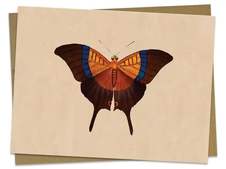Vintage Butterfly/Moth Greeting Card