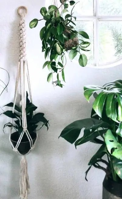 Barrel Braid Macramé Plant Hanger - My SensibiliTeas - boho plant hanger from Terra & Twine