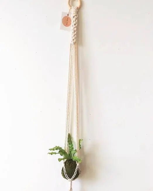 Barrel Braid Macramé Plant Hanger - My SensibiliTeas - boho plant hanger from Terra & Twine