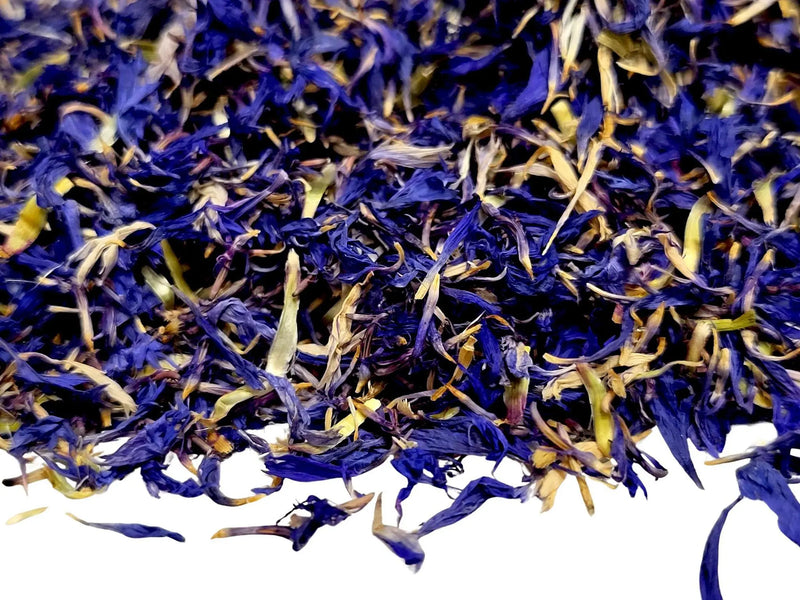 Cornflower Petals