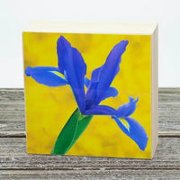 4”x4” Aluminum Flower Print on Wood