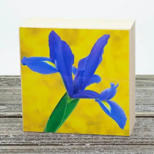 4”x4” Aluminum Flower Print on Wood