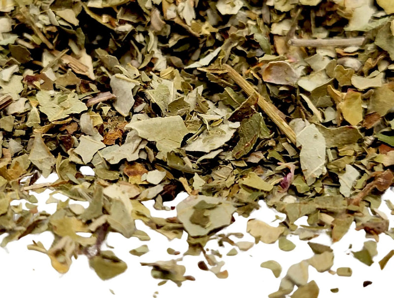 Blackberry Leaf - My SensibiliTeas - herb from SensibiliTeas