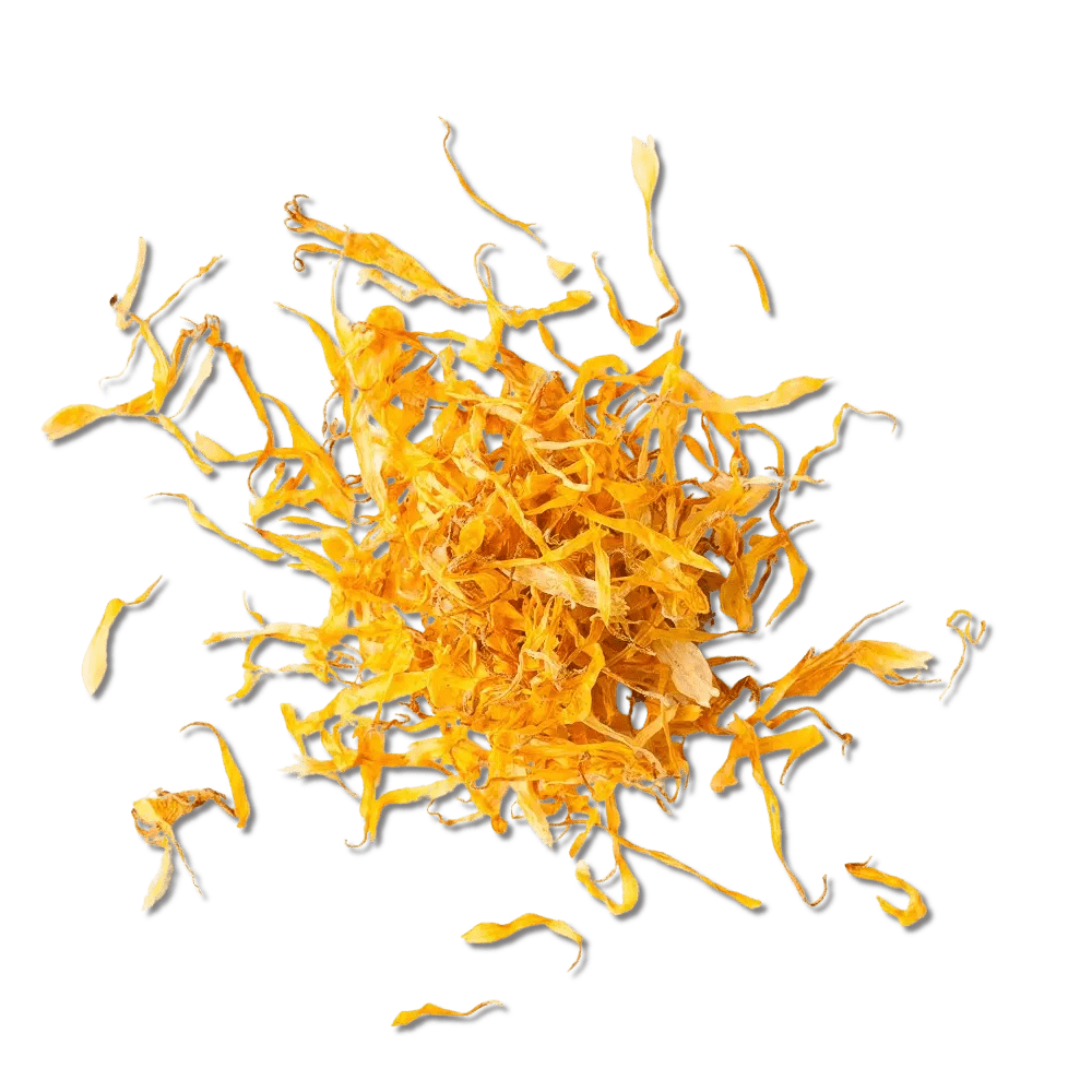 Calendula - My SensibiliTeas - flower petals from SensibiliTeas