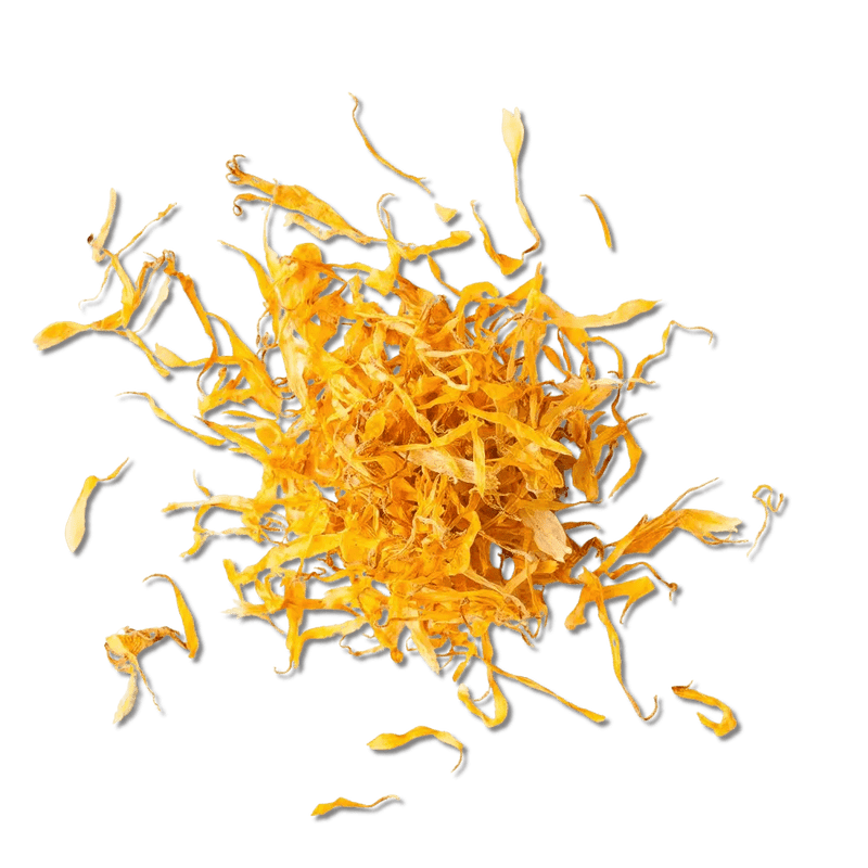 Calendula - My SensibiliTeas - flower petals from SensibiliTeas
