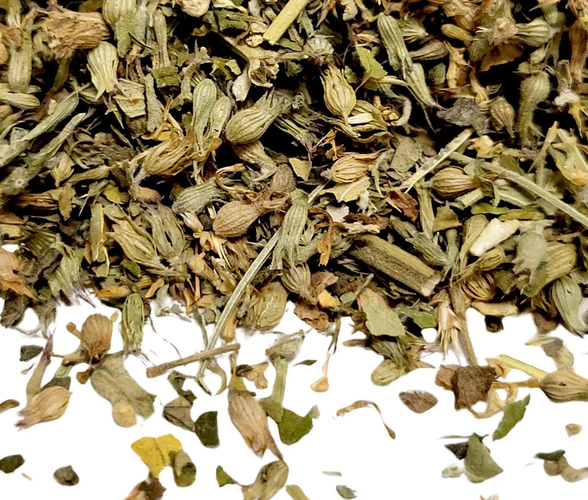 Catnip - My SensibiliTeas - herb from SensibiliTeas