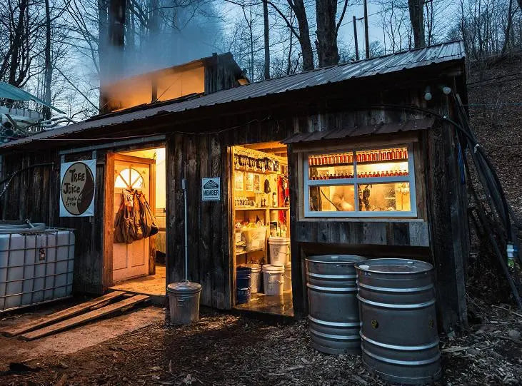2 oz Bourbon Barrel Tree Juice Maple Syrup