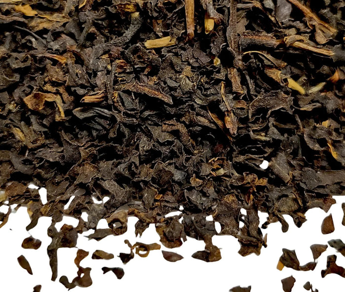Wild Ancient Tree Black