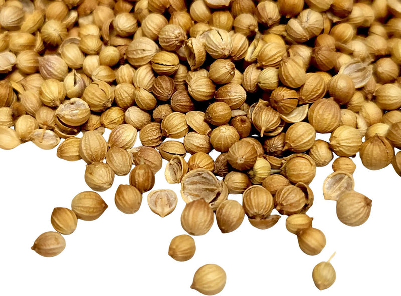Coriander Seed - My SensibiliTeas - WHOLE SPICE from SensibiliTeas