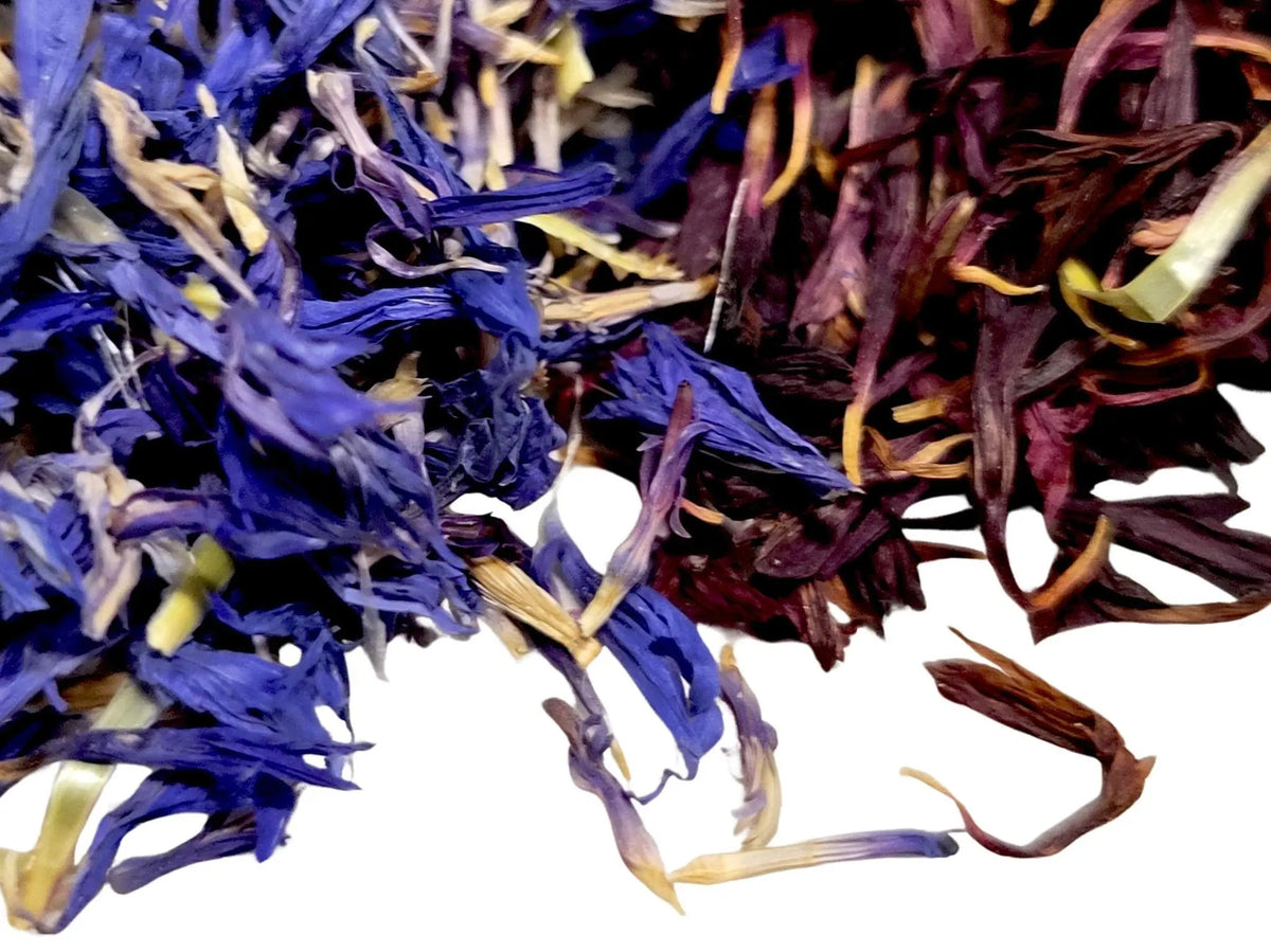 Cornflower Petals - My SensibiliTeas - edible flower petals from SensibiliTeas