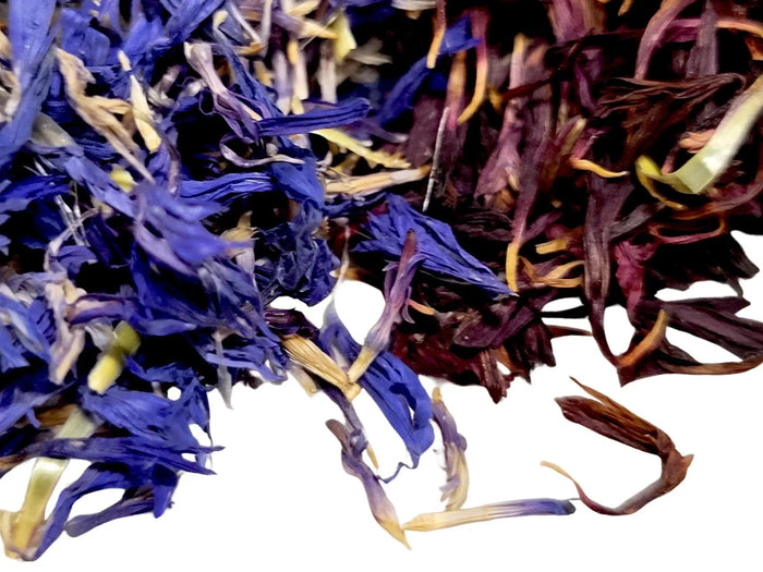 Cornflower Petals - My SensibiliTeas - edible flower petals from SensibiliTeas