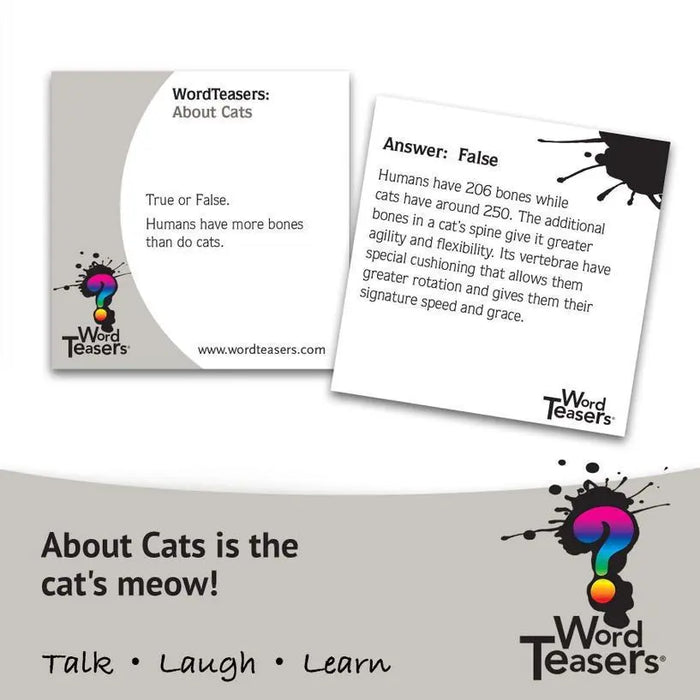 About Cats
