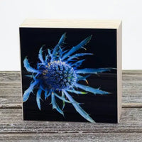 4”x4” Aluminum Flower Print on Wood
