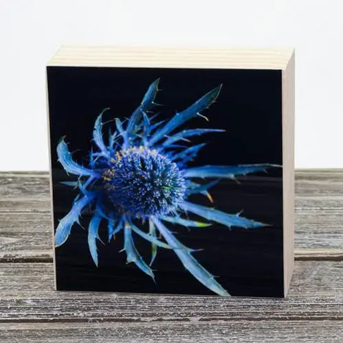 4”x4” Aluminum Flower Print on Wood