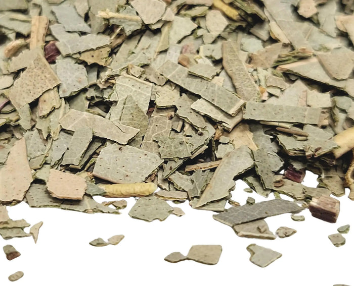 Eucalyptus