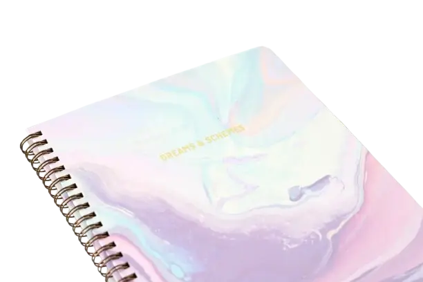 Dreams and Schemes Journal