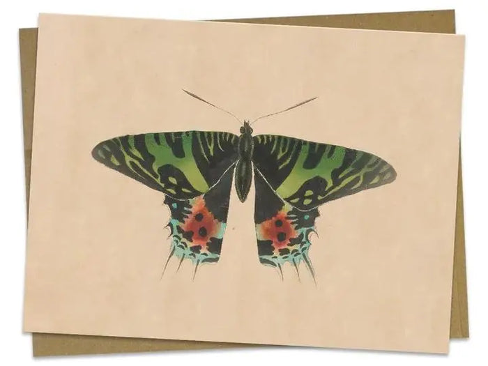 Vintage Butterfly/Moth Greeting Card