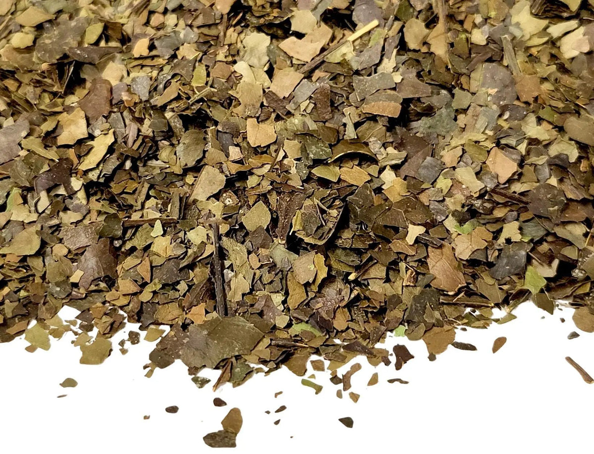 Guayusa - My SensibiliTeas - south american herb from SensibiliTeas