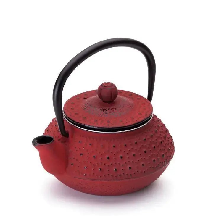 Hanoi Cast Iron Teapot - My SensibiliTeas - cast iron tea pot from Ibili