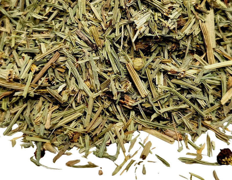 Horsetail (Shavegrass) - My SensibiliTeas - wild crafted herbs from SensibiliTeas