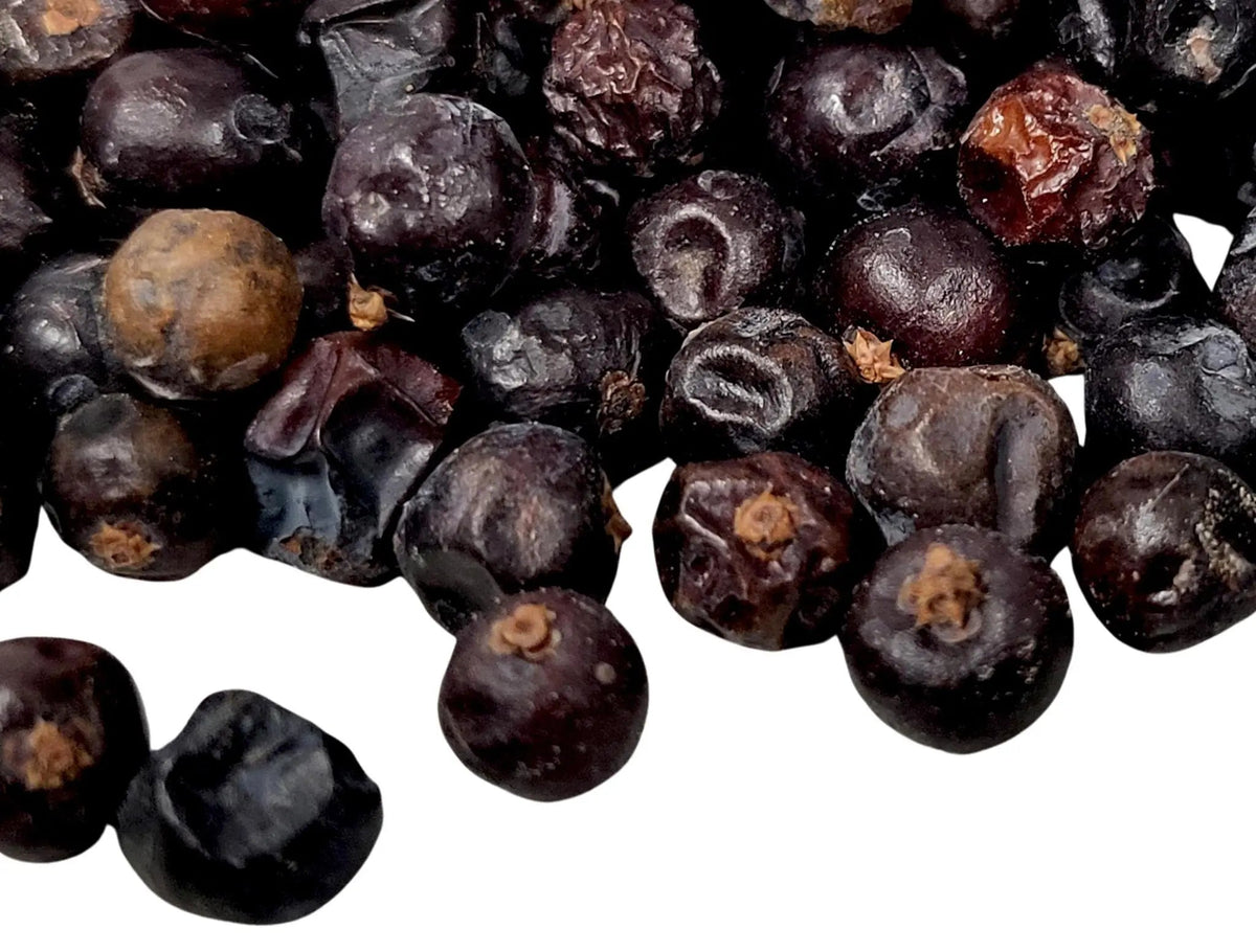 Juniper Berries - My SensibiliTeas - whole spice from SensibiliTeas